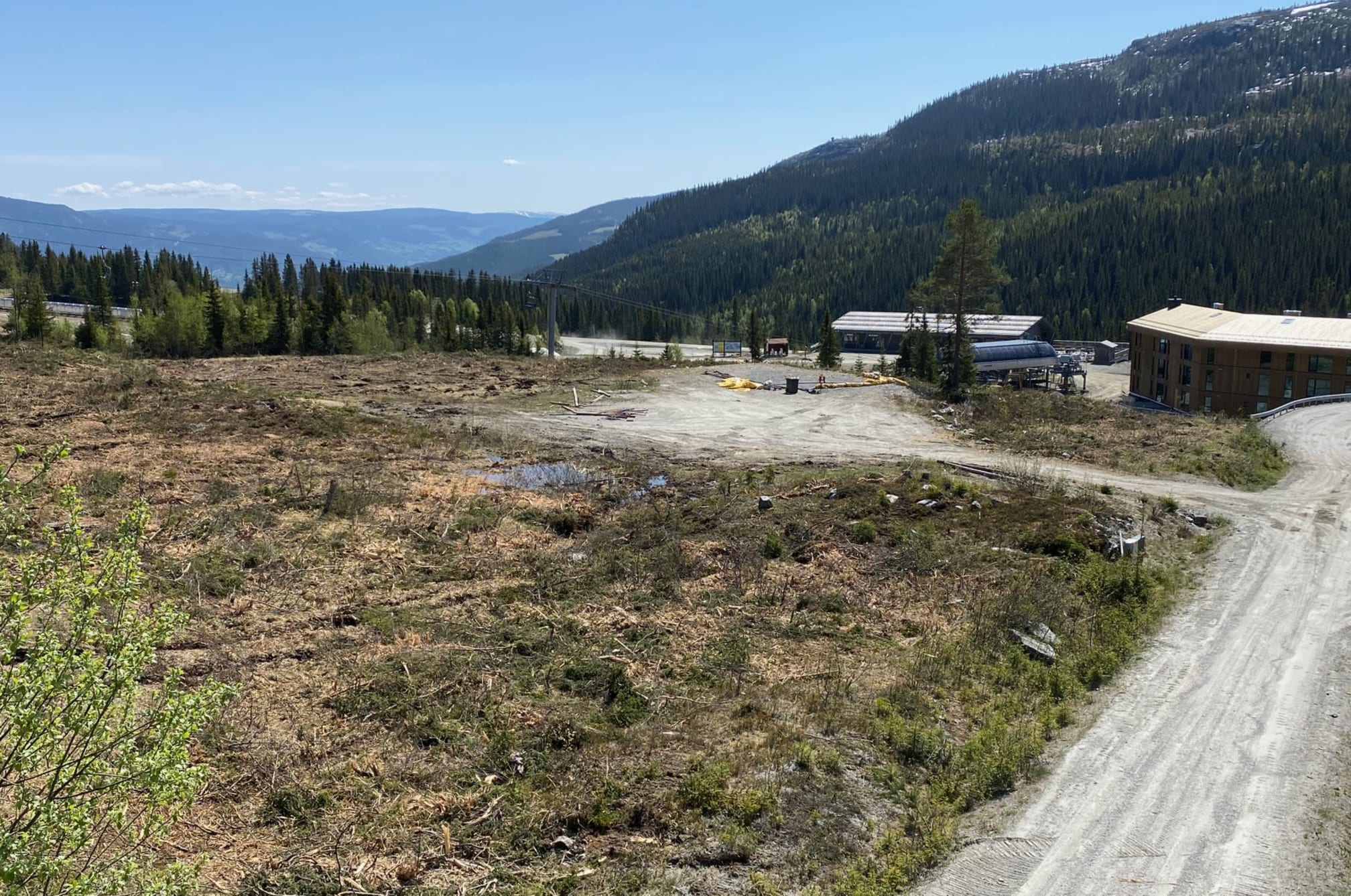 21 juni 2023: Bilde fra tomt. ferdig avskoget og klart til første spadetak. (Foto: Alpinco) 
